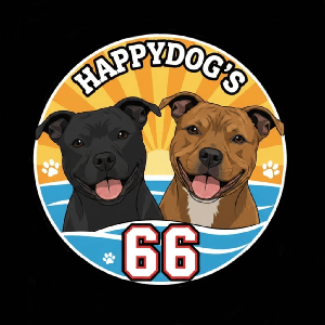 HappyDog's 66